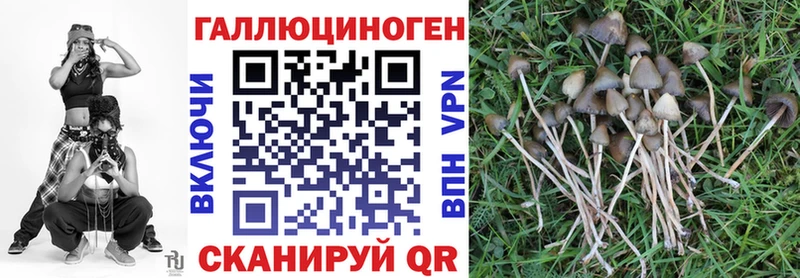 MEGA зеркало Пестово Псилоцибиновые грибы Psilocybine cubensis закладки